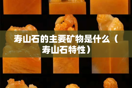 寿山石的主要矿物是什么（寿山石特性）