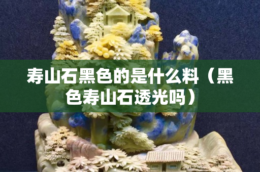 寿山石黑色的是什么料（黑色寿山石透光吗）