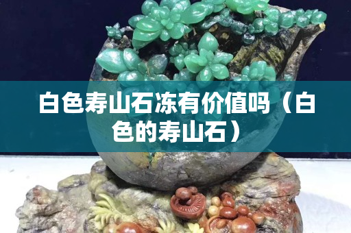 白色寿山石冻有价值吗（白色的寿山石）
