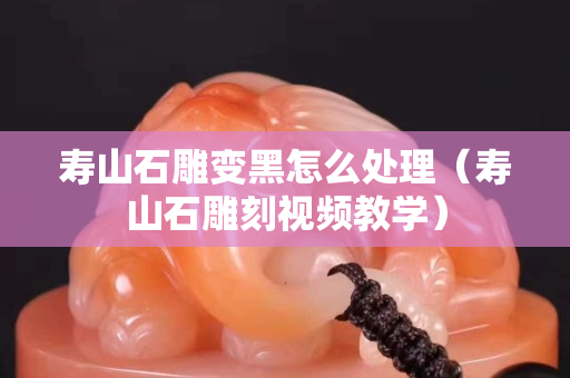 寿山石雕变黑怎么处理（寿山石雕刻视频教学）