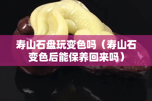 寿山石盘玩变色吗（寿山石变色后能保养回来吗）