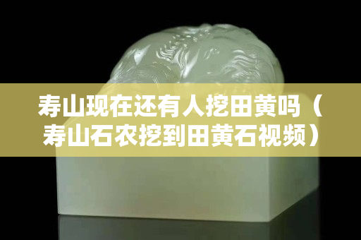 寿山现在还有人挖田黄吗（寿山石农挖到田黄石视频）