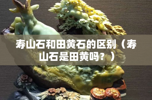 寿山石和田黄石的区别（寿山石是田黄吗？）
