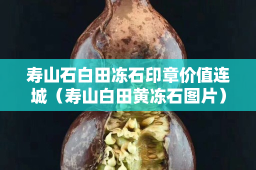 寿山石白田冻石印章价值连城（寿山白田黄冻石图片）