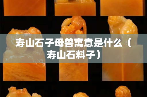 寿山石子母兽寓意是什么（寿山石料子）