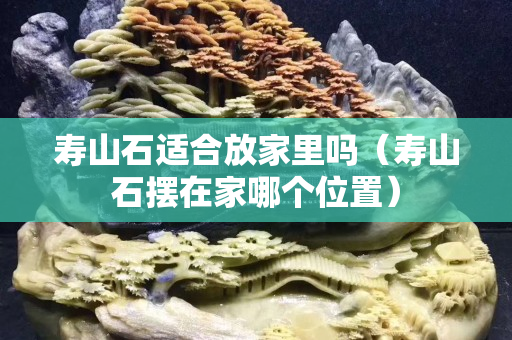 寿山石适合放家里吗（寿山石摆在家哪个位置）