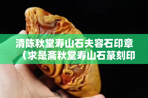 清陈秋堂寿山石夫容石印章（求是斋秋堂寿山石篆刻印章的价格）