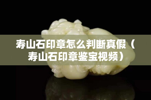 寿山石印章怎么判断真假（寿山石印章鉴宝视频）