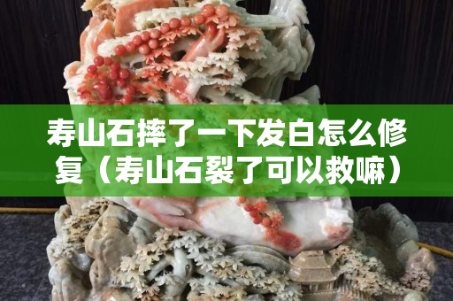 寿山石摔了一下发白怎么修复（寿山石裂了可以救嘛）