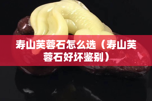 寿山芙蓉石怎么选（寿山芙蓉石好坏鉴别）