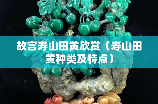 故宫寿山田黄欣赏（寿山田黄种类及特点）