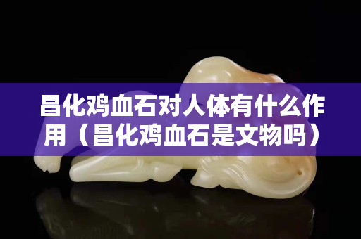 昌化鸡血石对人体有什么作用（昌化鸡血石是文物吗）