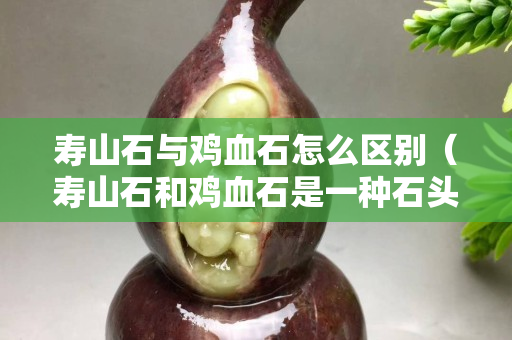 寿山石与鸡血石怎么区别（寿山石和鸡血石是一种石头吗）