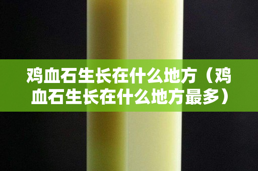 鸡血石生长在什么地方（鸡血石生长在什么地方最多）