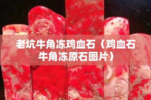 老坑牛角冻鸡血石（鸡血石牛角冻原石图片）