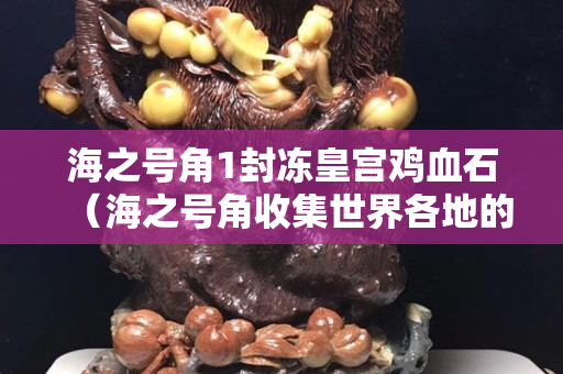 海之号角1封冻皇宫鸡血石（海之号角收集世界各地的鸡血石）