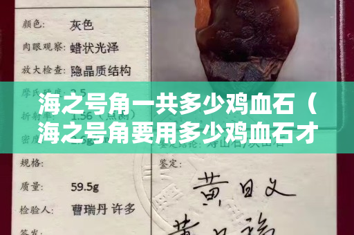 海之号角一共多少鸡血石（海之号角要用多少鸡血石才可以兑换）