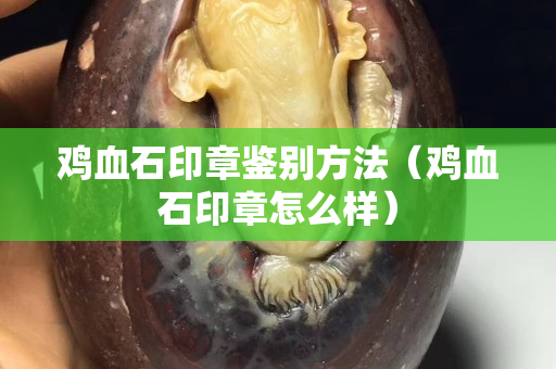 鸡血石印章鉴别方法（鸡血石印章怎么样）