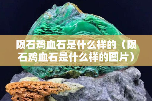 陨石鸡血石是什么样的（陨石鸡血石是什么样的图片）