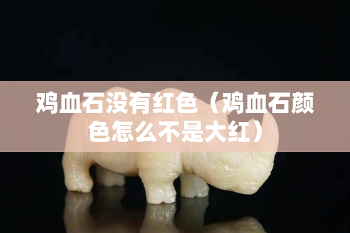 鸡血石没有红色（鸡血石颜色怎么不是大红）