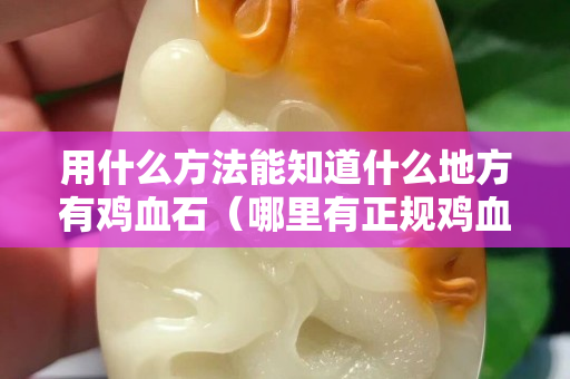 用什么方法能知道什么地方有鸡血石（哪里有正规鸡血石鉴定机构？）