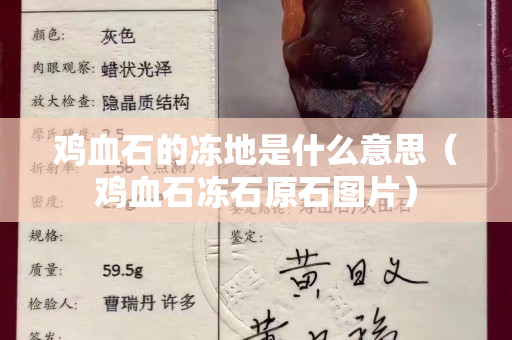 鸡血石的冻地是什么意思（鸡血石冻石原石图片）