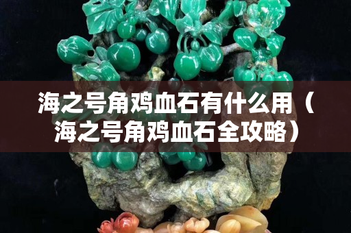 海之号角鸡血石有什么用（海之号角鸡血石全攻略）
