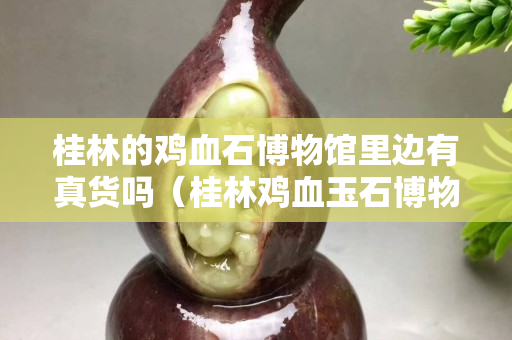 桂林的鸡血石博物馆里边有真货吗（桂林鸡血玉石博物馆的东西怎么样）