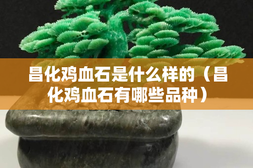 昌化鸡血石是什么样的（昌化鸡血石有哪些品种）