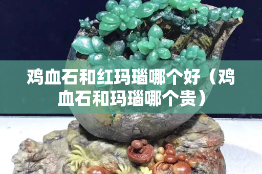 鸡血石和红玛瑙哪个好（鸡血石和玛瑙哪个贵）