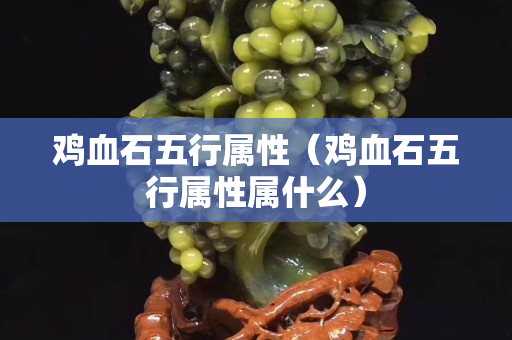 鸡血石五行属性（鸡血石五行属性属什么）