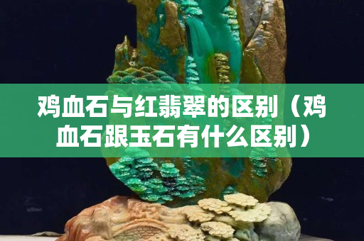 鸡血石与红翡翠的区别（鸡血石跟玉石有什么区别）