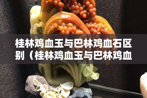 桂林鸡血玉与巴林鸡血石区别（桂林鸡血玉与巴林鸡血石区别在哪）