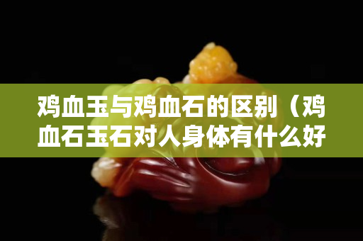 鸡血玉与鸡血石的区别（鸡血石玉石对人身体有什么好处？）