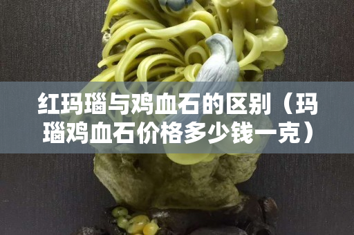 红玛瑙与鸡血石的区别（玛瑙鸡血石价格多少钱一克）