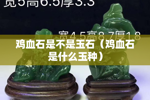 鸡血石是不是玉石（鸡血石是什么玉种）