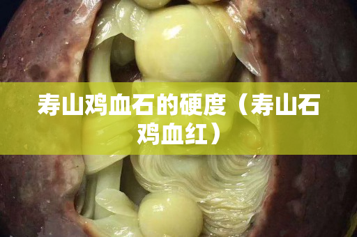 寿山鸡血石的硬度（寿山石鸡血红）
