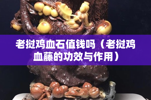 老挝鸡血石值钱吗（老挝鸡血藤的功效与作用）