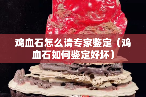 鸡血石怎么请专家鉴定（鸡血石如何鉴定好坏）