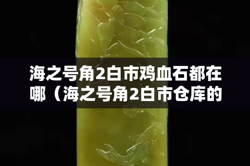 海之号角2白市鸡血石都在哪（海之号角2白市仓库的钥匙）