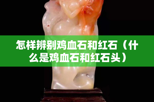 怎样辨别鸡血石和红石（什么是鸡血石和红石头）