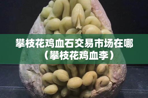 攀枝花鸡血石交易市场在哪（攀枝花鸡血李）