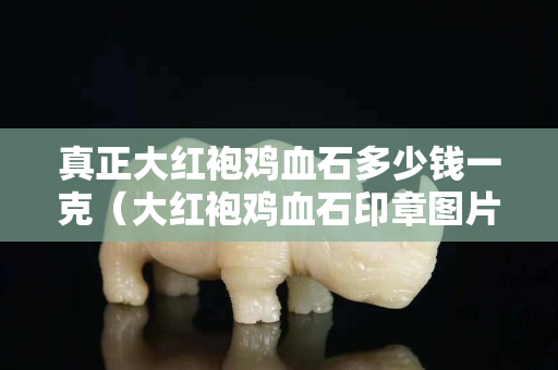 真正大红袍鸡血石多少钱一克（大红袍鸡血石印章图片大全）