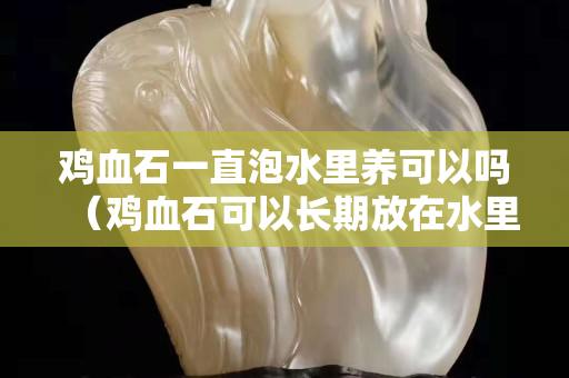 鸡血石一直泡水里养可以吗（鸡血石可以长期放在水里吗）