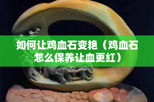 如何让鸡血石变艳（鸡血石怎么保养让血更红）