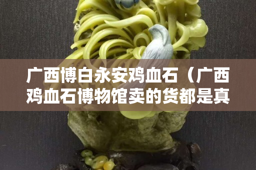 广西博白永安鸡血石（广西鸡血石博物馆卖的货都是真的吗）
