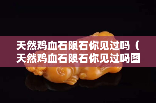 天然鸡血石陨石你见过吗（天然鸡血石陨石你见过吗图片）