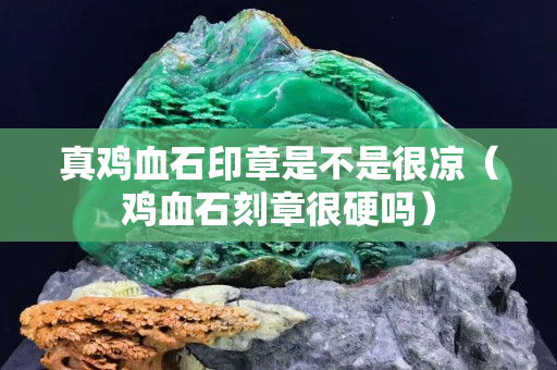 真鸡血石印章是不是很凉（鸡血石刻章很硬吗）