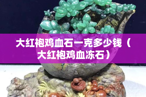 大红袍鸡血石一克多少钱（大红袍鸡血冻石）