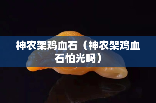 神农架鸡血石（神农架鸡血石怕光吗）